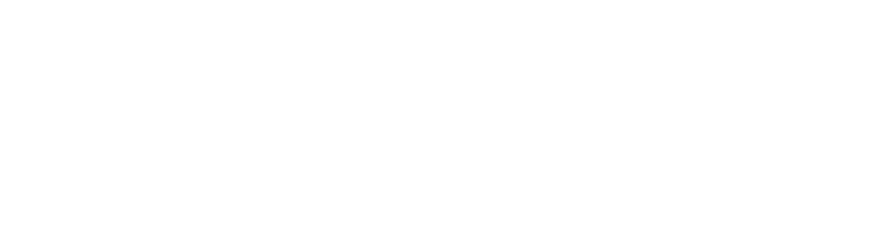 AA ES DPS BLANCO